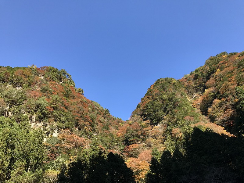 香落渓の紅葉 そに木霊リゾート 垰 Tawa